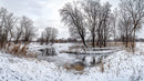 Frozen River and Snow-Covered Trees in Winter Landscape