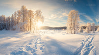 Frosty Trees and Sunrise Over Snowy Winter Landscape