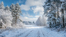 Serene Winter Pathway Through Snowy Forest