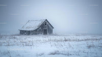 Rustic Cabin in a Snowy Misty Winter Landscape