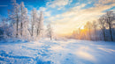 Snow-Covered Trees at Sunrise in Tranquil Winter Landscape