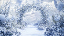 Frosty Archway in a Serene Winter Wonderland