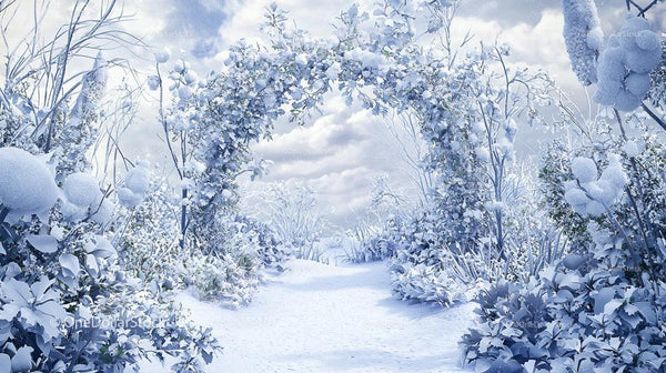 Frosty Archway in a Serene Winter Wonderland
