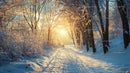 Sunlit Winter Path Through Snowy Forest