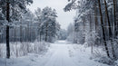 Snowy Winter Path Through Tranquil Forest Landscape