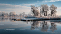 Winter Serenity with Snowy Trees and Icy Lake Reflections