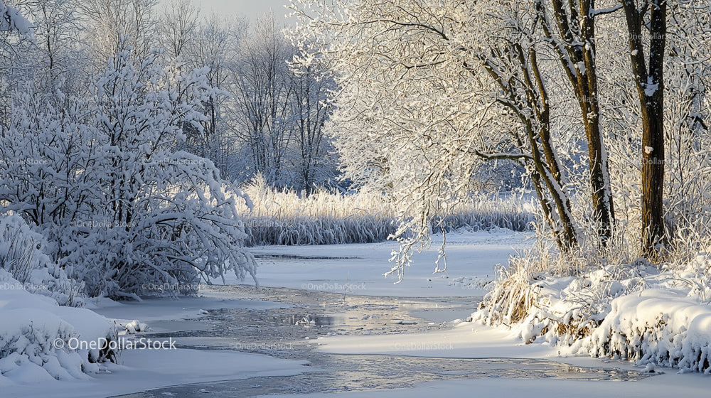 Serene Winter Landscape with Snow-Covered Trees and Frozen River