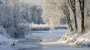Serene Winter Landscape with Snow-Covered Trees and Frozen River