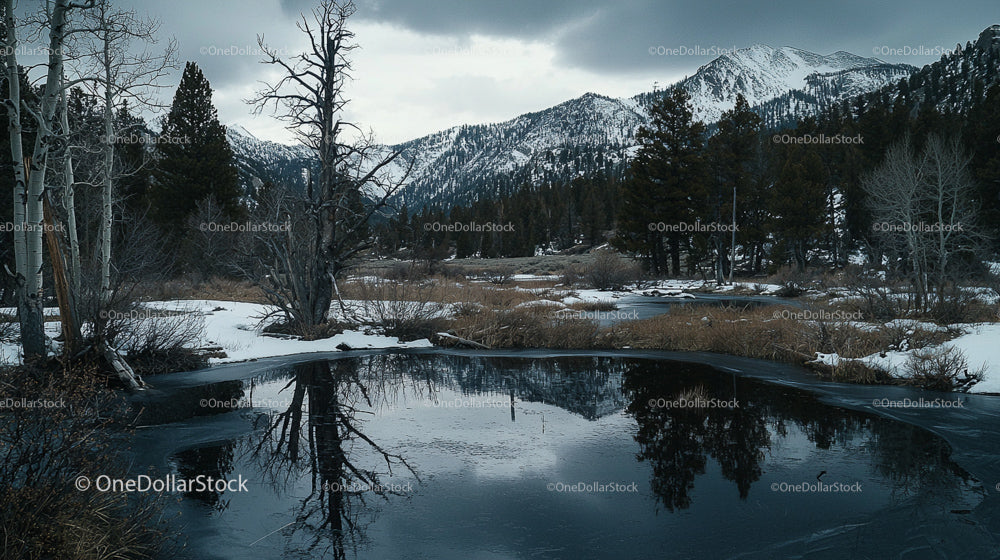 Winter Mountain Landscape with Snow-Covered Trees and Serene Lake