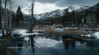 Winter Mountain Landscape with Snow-Covered Trees and Serene Lake