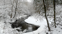 Tranquil Snow-Covered Forest with Serene River in Winter