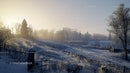 Serene Winter Landscape at Sunrise with Snow-Covered Trees