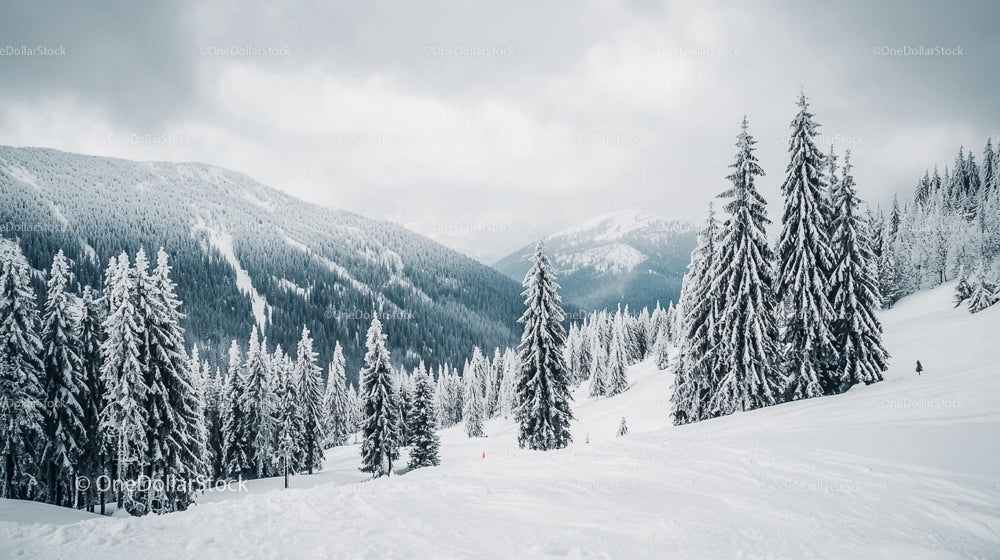 Scenic Snow-Covered Mountain Landscape with Pine Trees