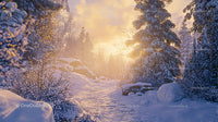 Sunset Glow in a Serene Snowy Forest