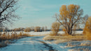 Frosty Winter Road Through Serene Countryside
