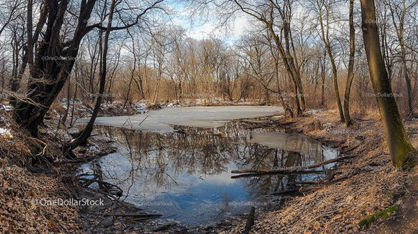 Frozen Pond in a Winter Forest with Reflection
