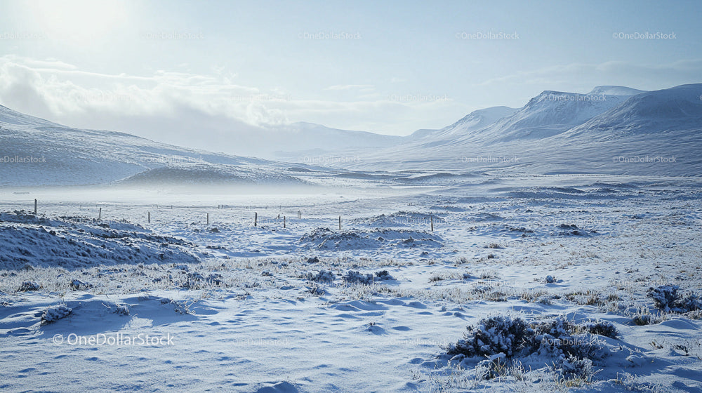Snow-Covered Hills and Vast Winter Landscape