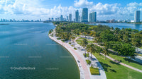 Aerial View of Tropical Urban Park with City Skyline