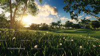Sunlit Meadow with Lush Trees and Blue Sky at Sunset