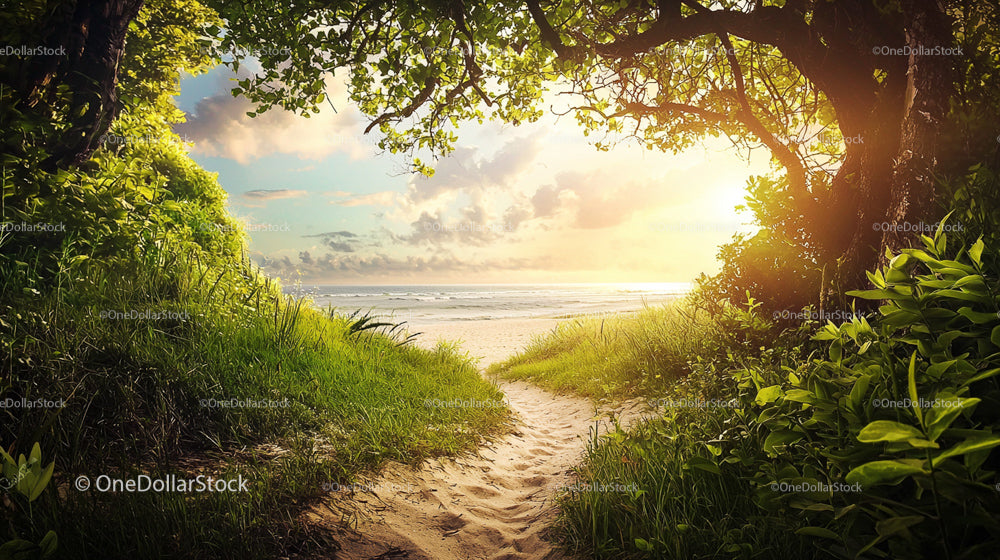 Scenic Pathway to a Sunlit Beach Surrounded by Green Foliage