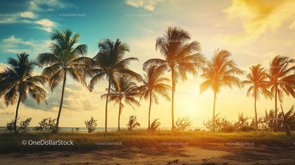 Tropical Sunset with Silhouetted Palm Trees on Beach