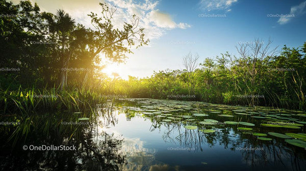 Tranquil Pond Surrounded by Lush Greenery at Sunset