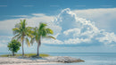 Tropical Beach with Palm Trees and Fluffy Clouds