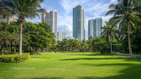 Urban Park with Skyscrapers and Tropical Palm Trees