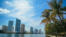 Tropical Urban Skyline with Skyscrapers and Palm Trees