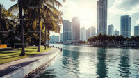 Modern City Skyline with Palm Trees by the Waterfront