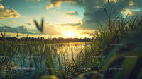 Serene Sunset Over a Tranquil Lake with Reeds