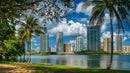 Tropical Cityscape with Skyscrapers and Palm Trees