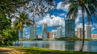 Tropical Cityscape with Skyscrapers and Palm Trees