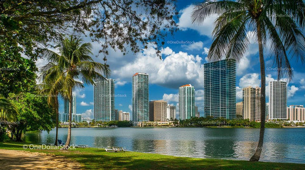 Tropical Cityscape with Skyscrapers and Palm Trees