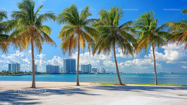 Scenic View of Palm Trees with Urban Skyline by the Beach