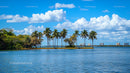 Tropical Island with Palm Trees and City Skyline in Background