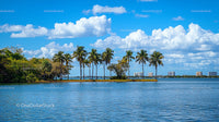 Tropical Island with Palm Trees and City Skyline in Background