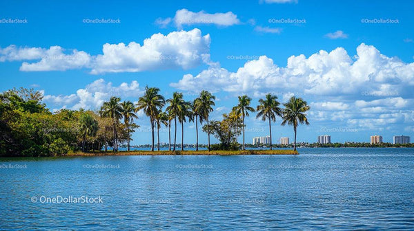 Tropical Island with Palm Trees and City Skyline in Background