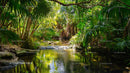 Serene Jungle Stream Amidst Lush Tropical Foliage
