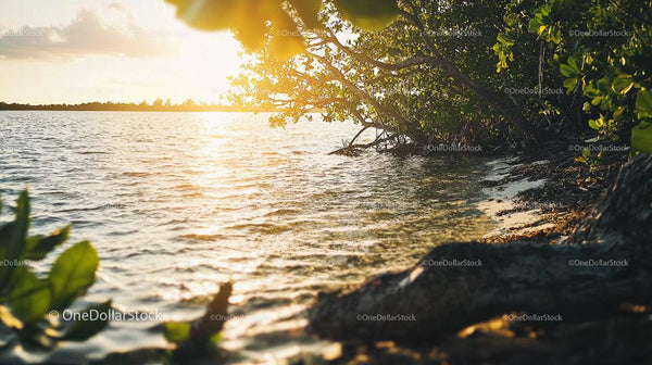 Sunset Over Tranquil Tropical Waters and Greenery