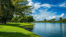 Lush Park Landscape with Palm Trees and Tranquil Lake