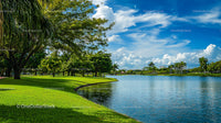 Lush Park Landscape with Palm Trees and Tranquil Lake