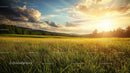Golden Sunset over Tranquil Rural Meadow Landscape