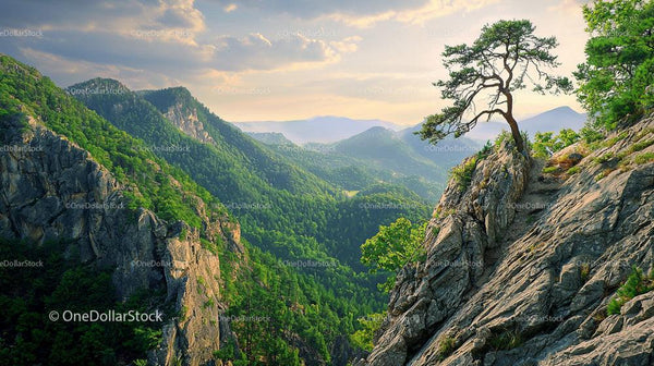 Majestic Pine Tree on a Cliff Overlooking Vast Green Mountains