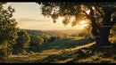 Sunset Over Rolling Hills with Majestic Tree in Foreground