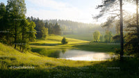 Tranquil Lake with Sunlit Meadow in a Serene Landscape