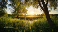Golden Sunset Over Lush Green Meadow