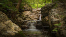 Serene Waterfall Flowing Through a Verdant Forest