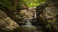 Serene Waterfall Flowing Through a Verdant Forest