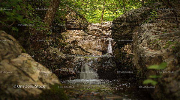 Serene Waterfall Flowing Through a Verdant Forest